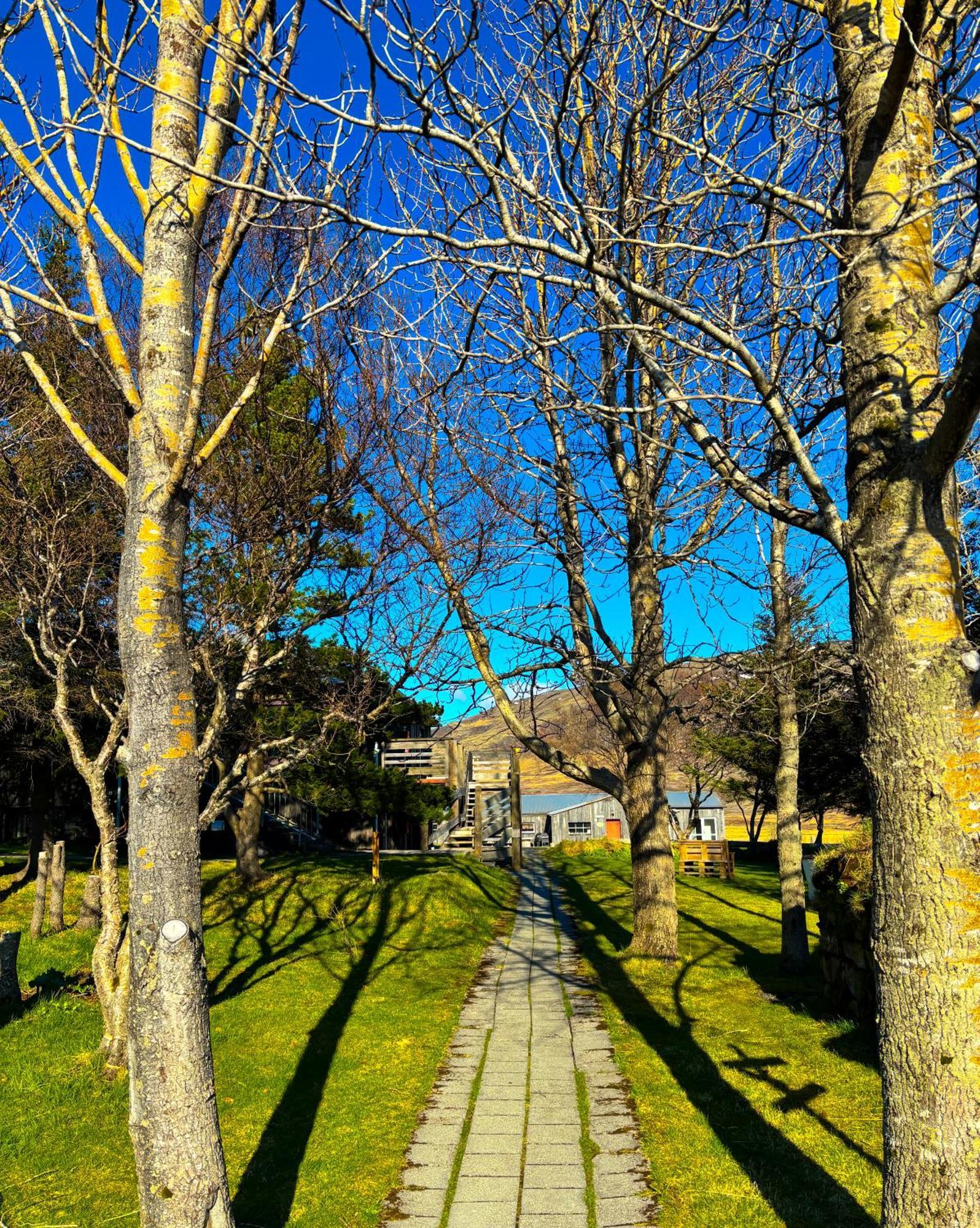 Bru Country Estate Ξενοδοχείο Σέλφος Εξωτερικό φωτογραφία